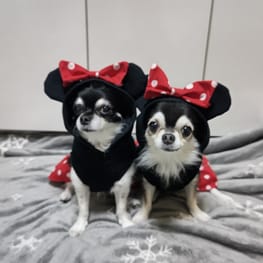 すずらんさんの作品