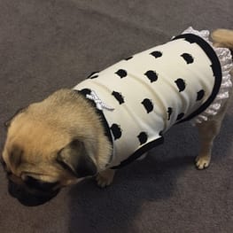 Coconutさんの作品