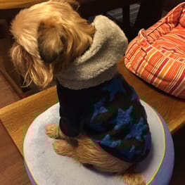 BG-mugiさんの作品