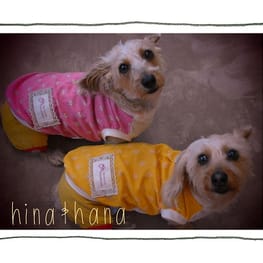 ひなはなさんの作品