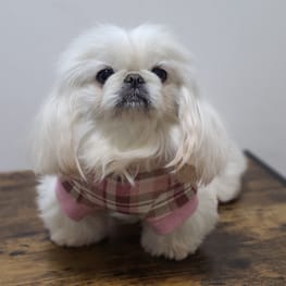 おとしらママさんの作品