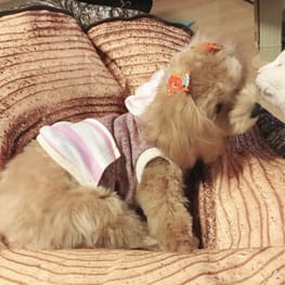 トム。。。さんの作品