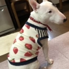 あけももさんの作品