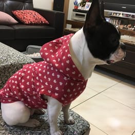 angelin40さんの作品