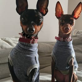 ちょこくろさんの作品