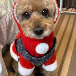 モナリオさんの作品