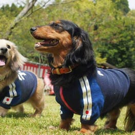 モコさんの作品