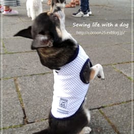 cocoonさんの作品