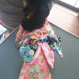 モコさんの作品