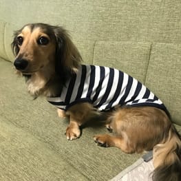 ヒロさんの作品