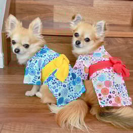愛犬のための犬服、ペット服の型紙通販・作り方・教室 milla milla
