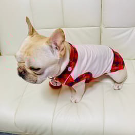 小次郎ママさんの作品