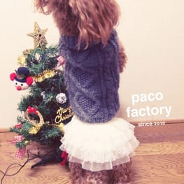 パコさんの作品