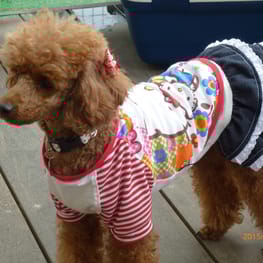 ちみこママさんの作品