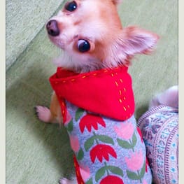 キャサリンさんの作品