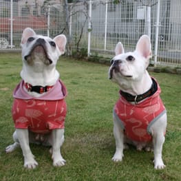 げんこつママさんの作品