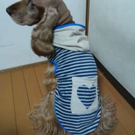 晴ママさんの作品