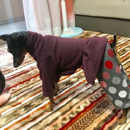 ゆいさんの作品