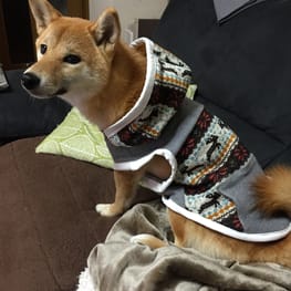 リサコマさんの作品