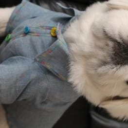 ちゃちゃまるさんの作品