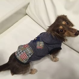 みにくろりんさんの作品