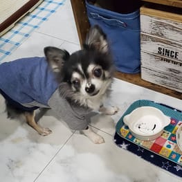 kaoriさんの作品