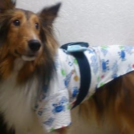 yukigesikiさんの作品