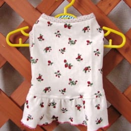 はなぴょんさんの作品