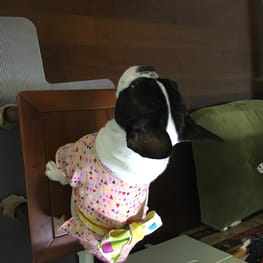 angelin40さんの作品