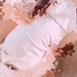 arareさんの作品