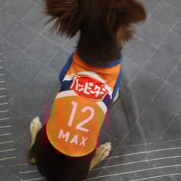 たーやさんの作品