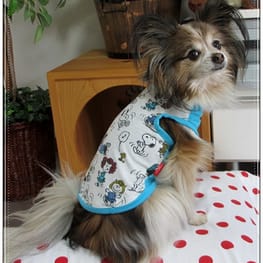 はるさんの作品