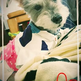 なっちゃんさんの作品