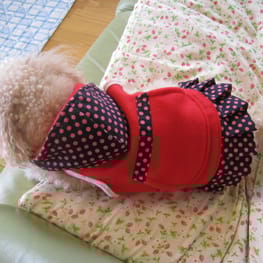 nao杏さんの作品