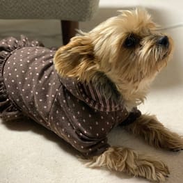 Keyakiさんの作品