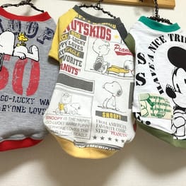 U-CHI-CHIさんの作品