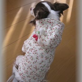 りんたんさんの作品