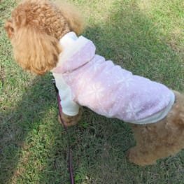 kuuminさんの作品