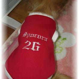 Syocora★mamaさんの作品