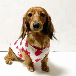 みたこ♡さま　わんこフリースタンクトップオーダーページ 無料タンクトップ/millacra / 愛犬のための犬服の作り方・型紙