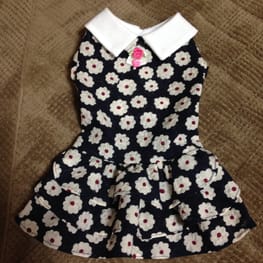 らくすさんの作品