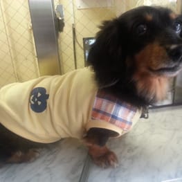 ライさんの作品