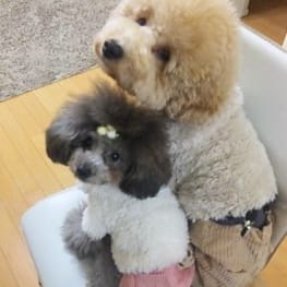 さくうたママさんの作品