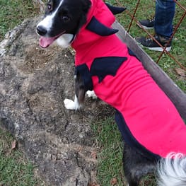 ぱんだ。さんの作品