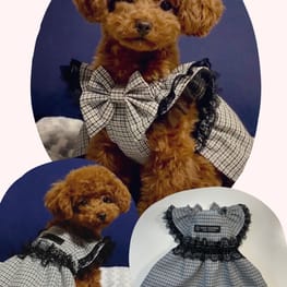 nuppy100さんの作品