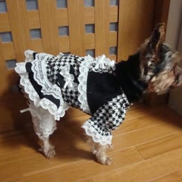 かさたんさんの作品