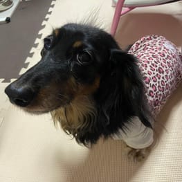 sakuramaruさんの作品