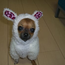 さちママさんの作品