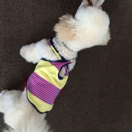 potetoさんの作品