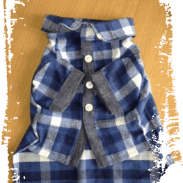 serikichi♪さんの作品